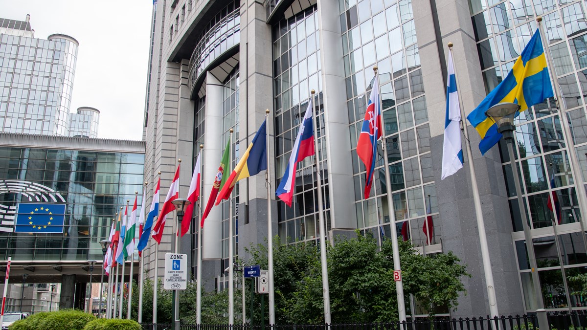 Rad med nationsflaggor utanför EU-parlamentsbyggnaden i Bryssel
