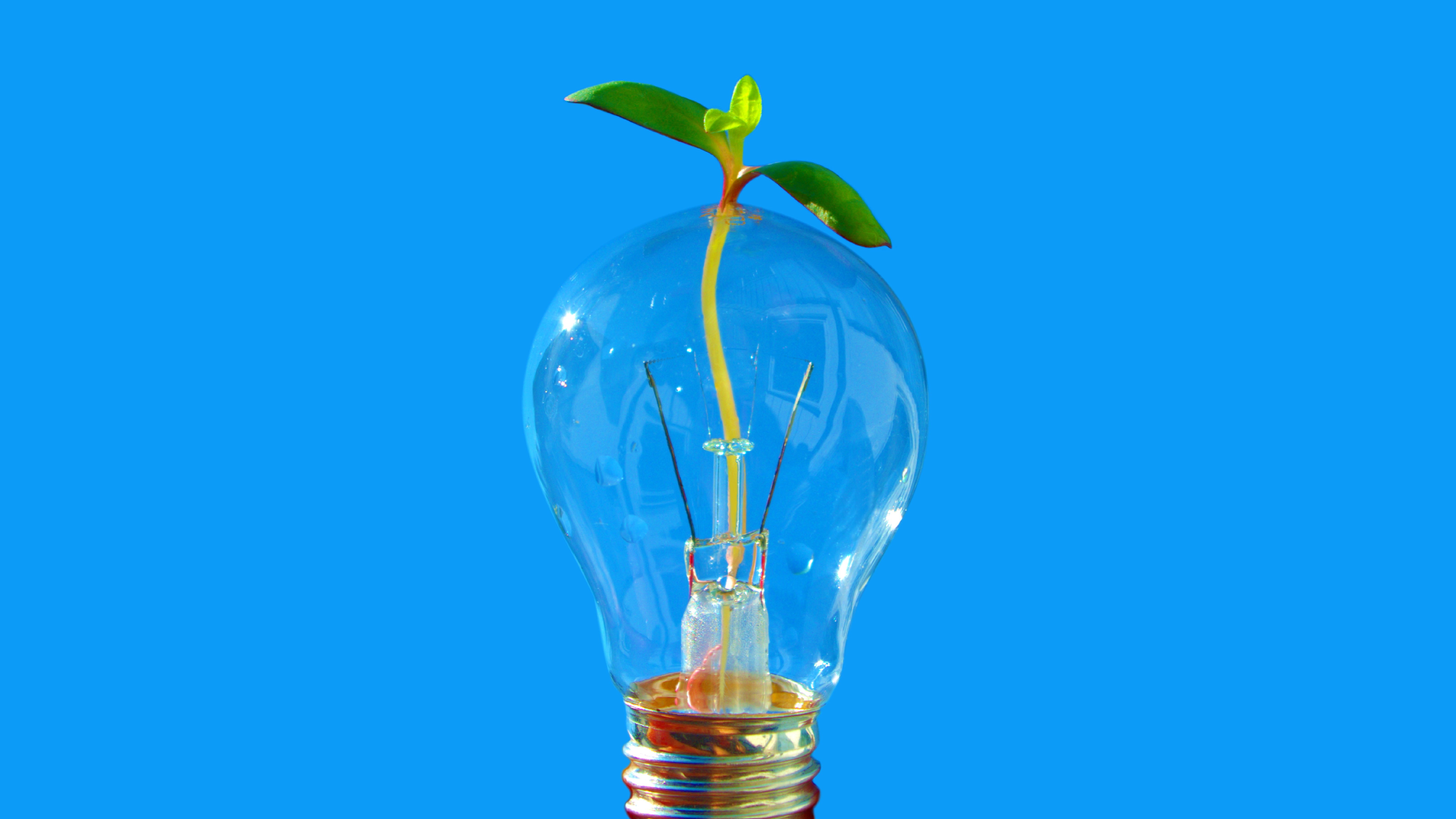 Ingen beskrivning tillgänglig