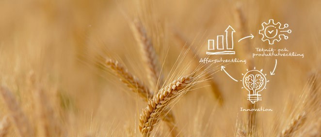 Mogna veteax med en grafisk ritning över innovation, affärsutveckling och teknik- och produktutveckling