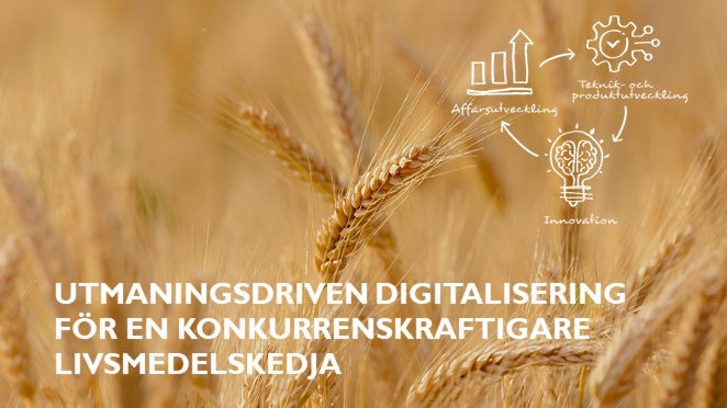 Moget sädesfält med illustration och text om projektets titel