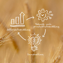 Illustration med orden Affärsutveckling, Innovation och Teknik- och produktutveckling