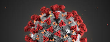Foto av coronavirus i närbild