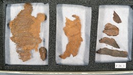 I en kartong ligger små tygrester som blivit brunfärgade förpackade i varsina fack. Det tycks vara olika textilier. Längst ned till höger syns en vit lapp med texten F 26_3.