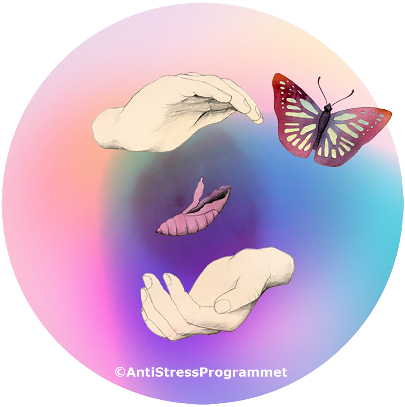 En fjäril som flyger iväg och två händer som kupar sig runt en fjärilspuppa