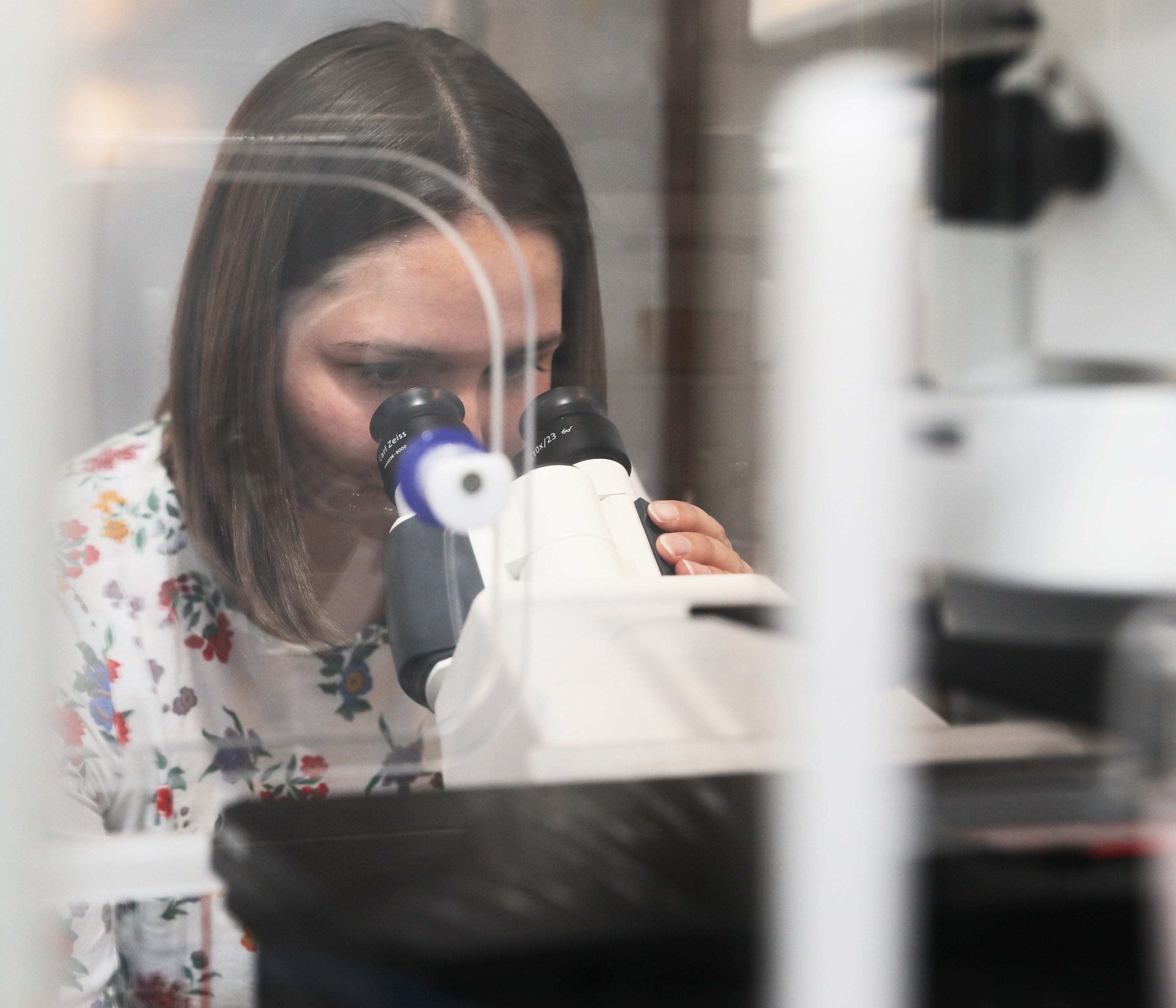 Ingen beskrivning tillgänglig