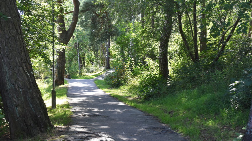 Gångväg kantad av träd och buskar