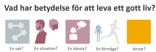 Vad har betydelse för att leva ett gott liv?