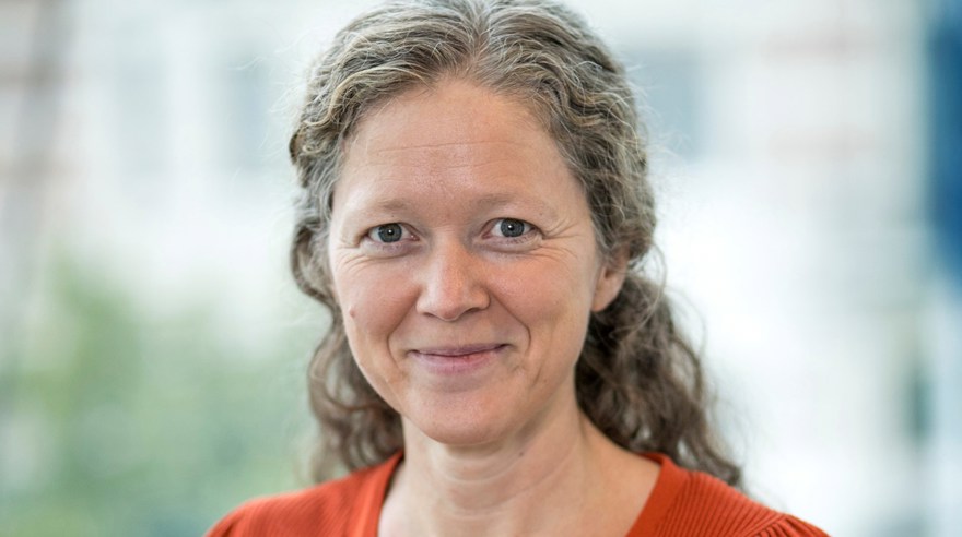 Kvinna, medelålders, mellanblont, vågogt hår som ligger bakom axlarna. Rostbrun tröja syns nedanför halsen.