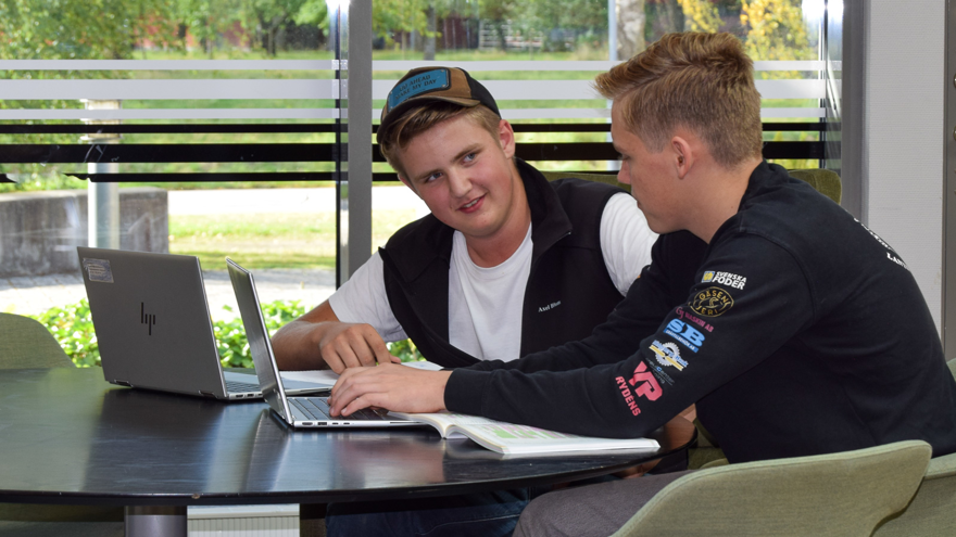 Två elever sitter med datorer vid bord i bibliotek