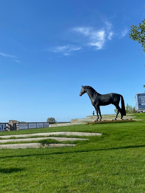 Gräsyta med häststaty