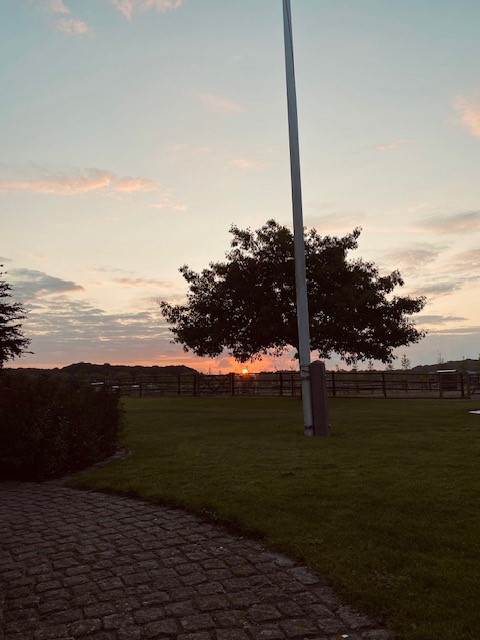 Solnedgång över hästhagar