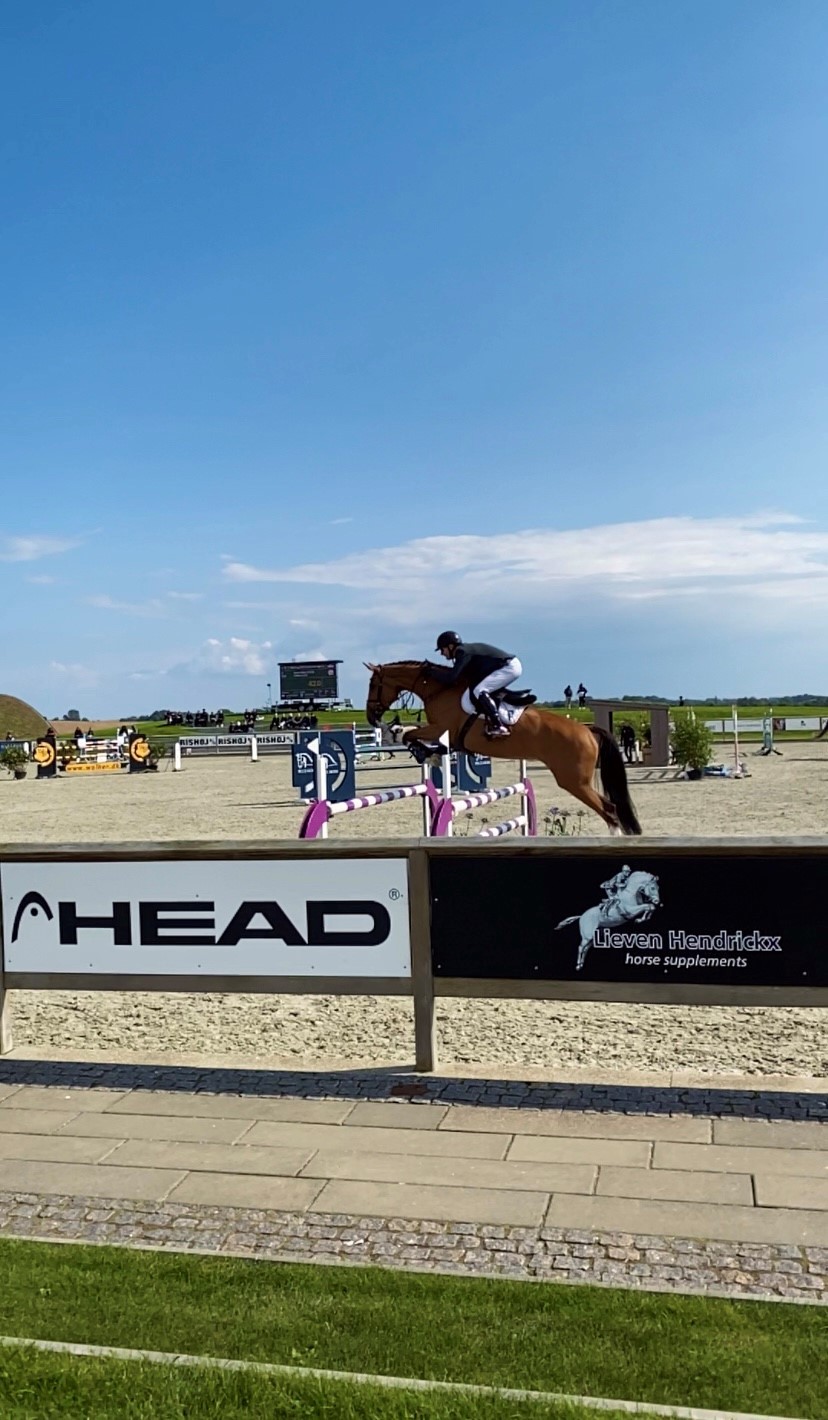 Häst som hoppar över hinder