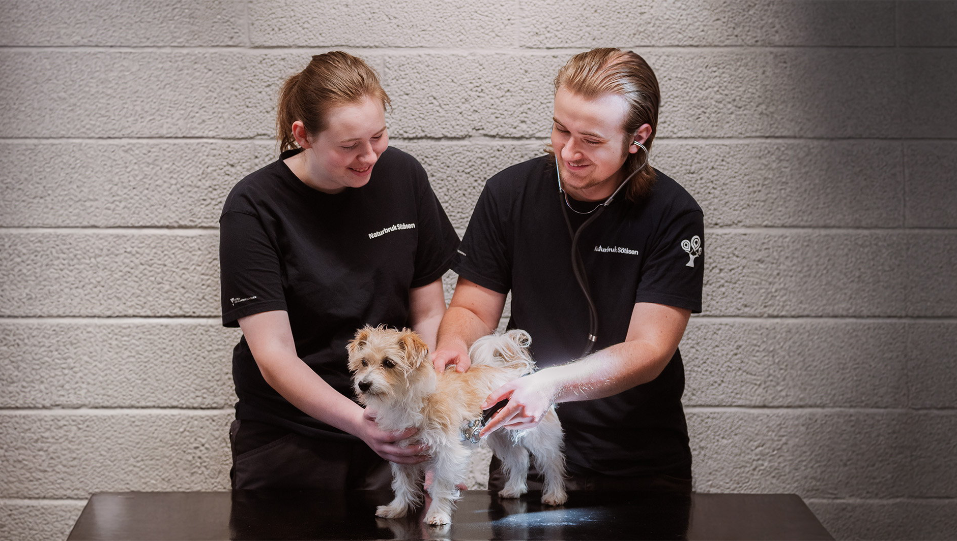 Två elever undersöker hund