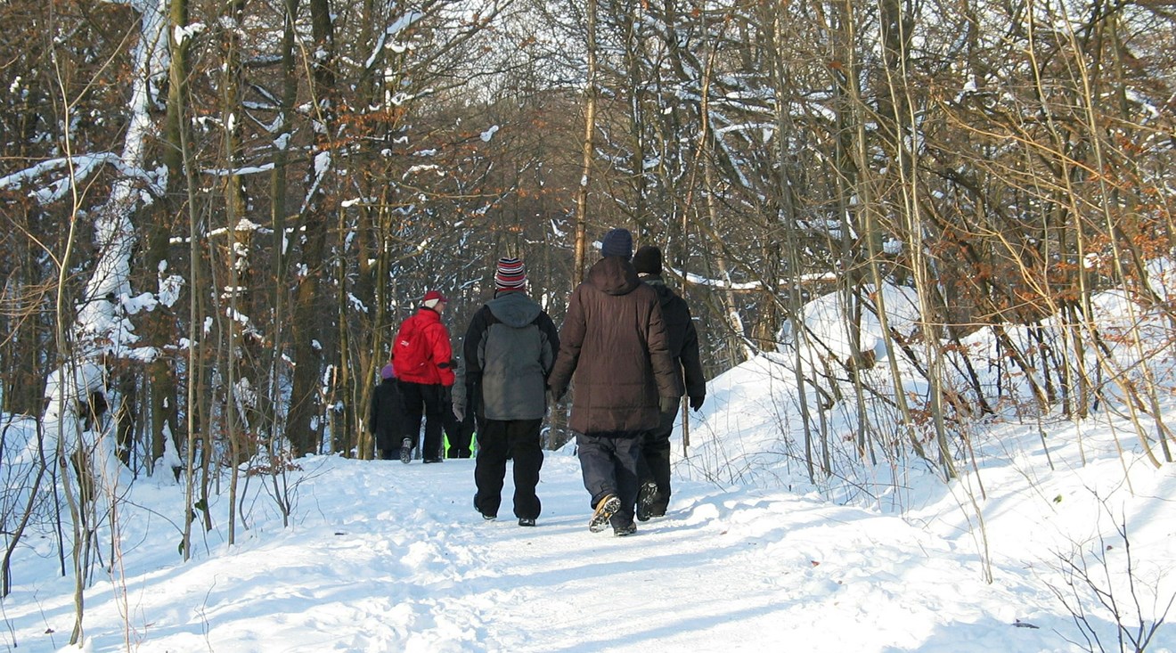Naturvandring i ett snötäckt Änggårdsbergen