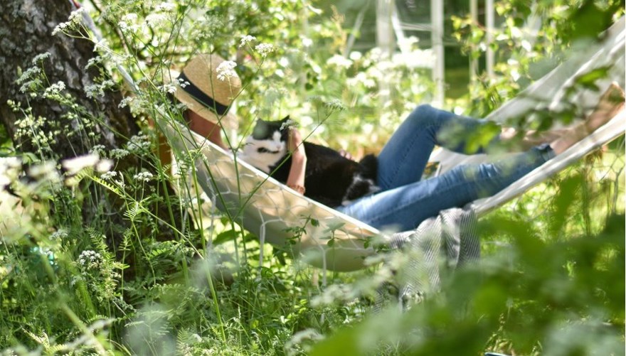 Kvinna med katt vilar i en hängmatta