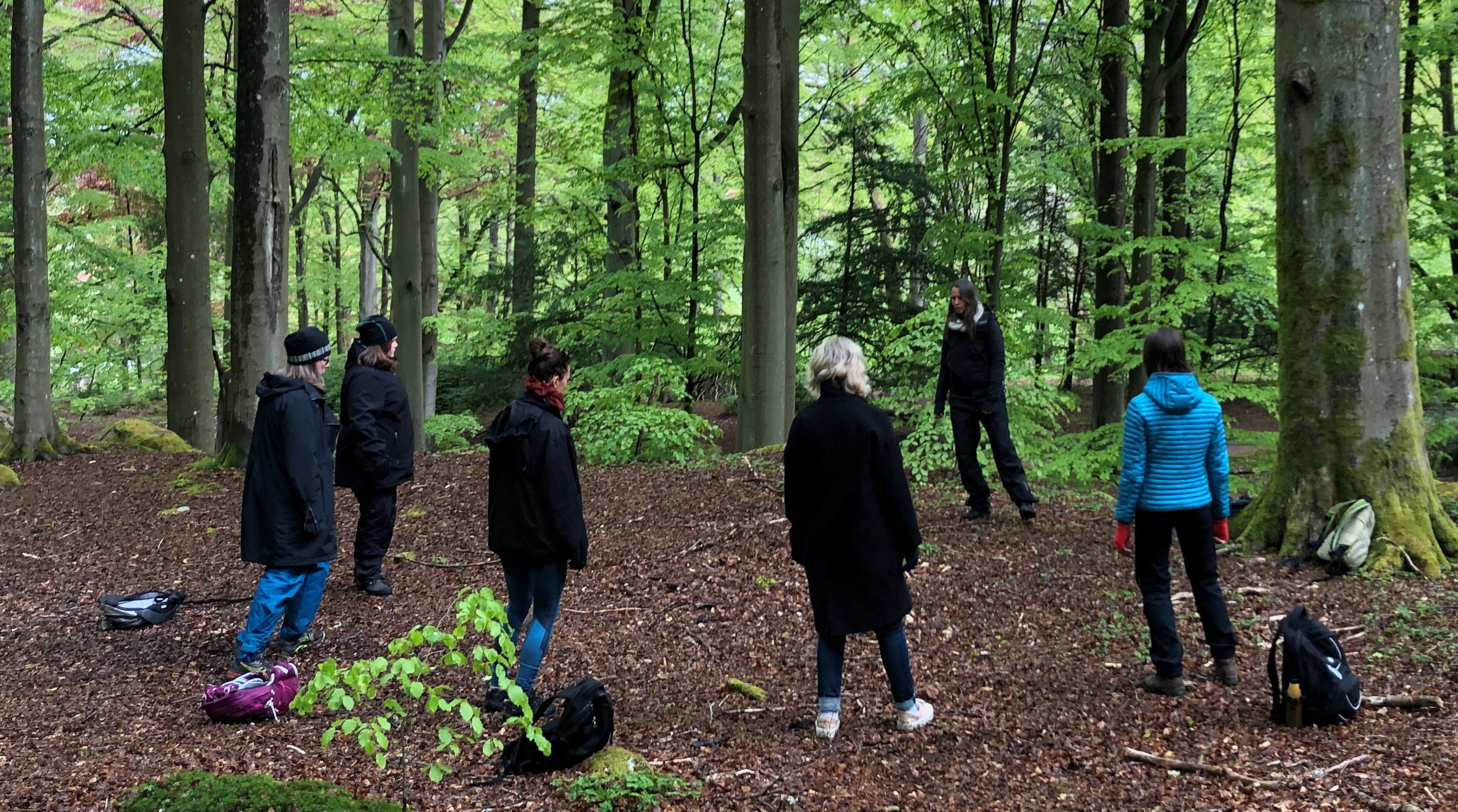 En grupp med deltagare står i ring i en bokskog