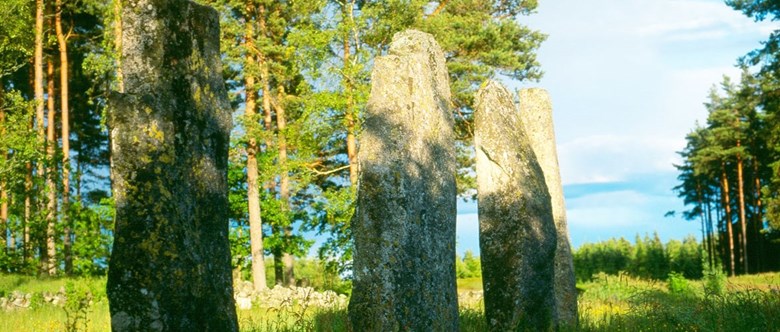 Stenehed gravgält i Munkedals kommun. Tre stenar står mot en bakgrund av träd.