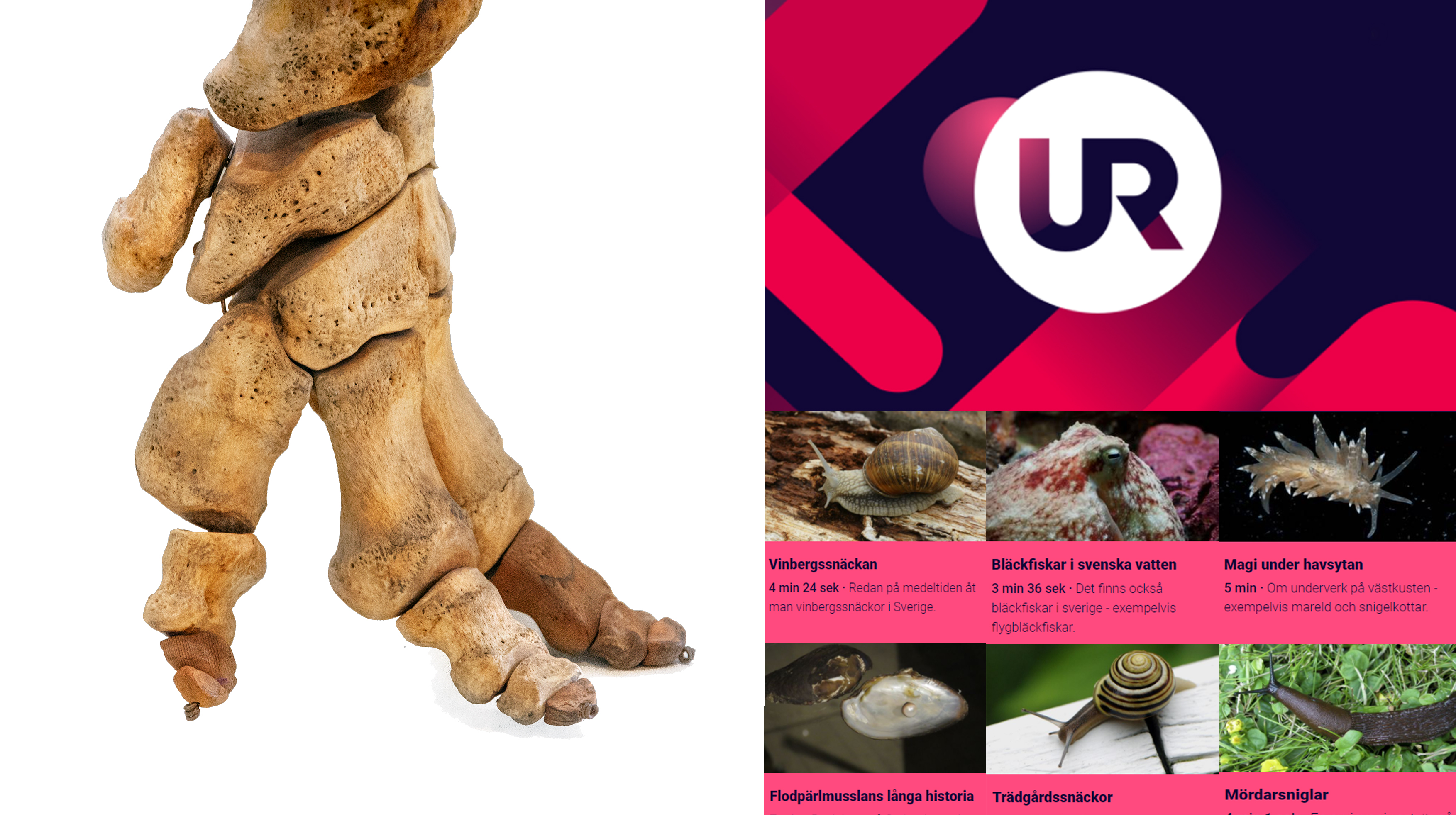 Ingen beskrivning tillgänglig