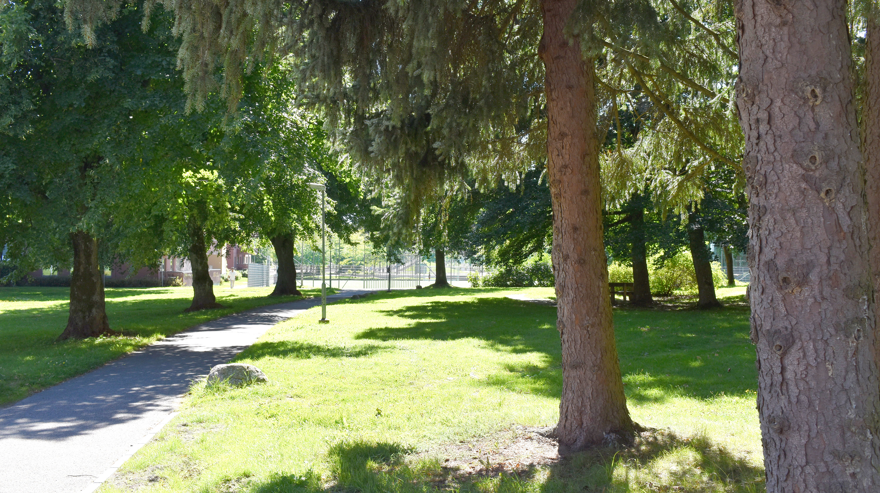 Gångväg. Vid sidan större träd.