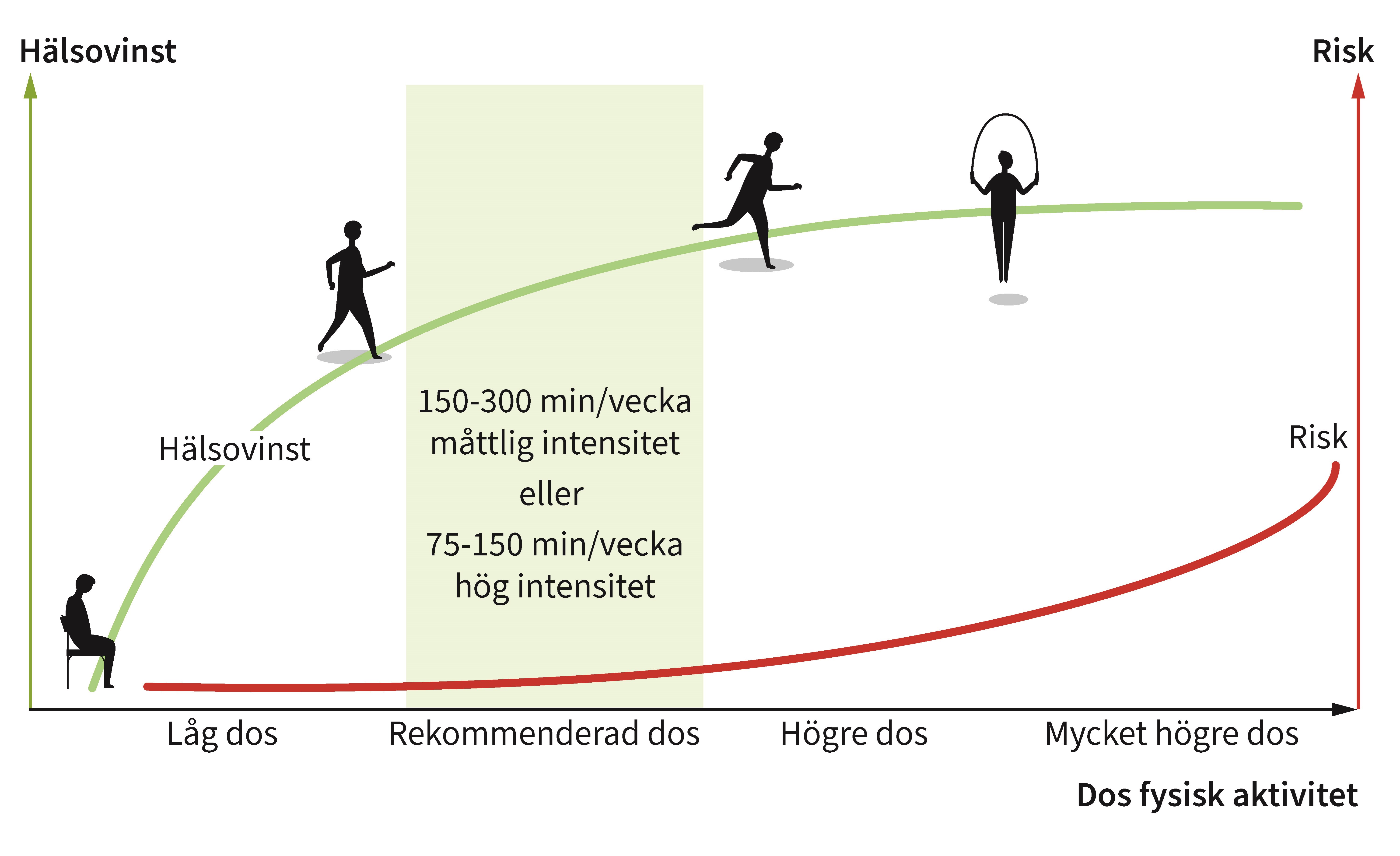 Dos-responssambandet mellan fysisk aktivitet och hälsa.