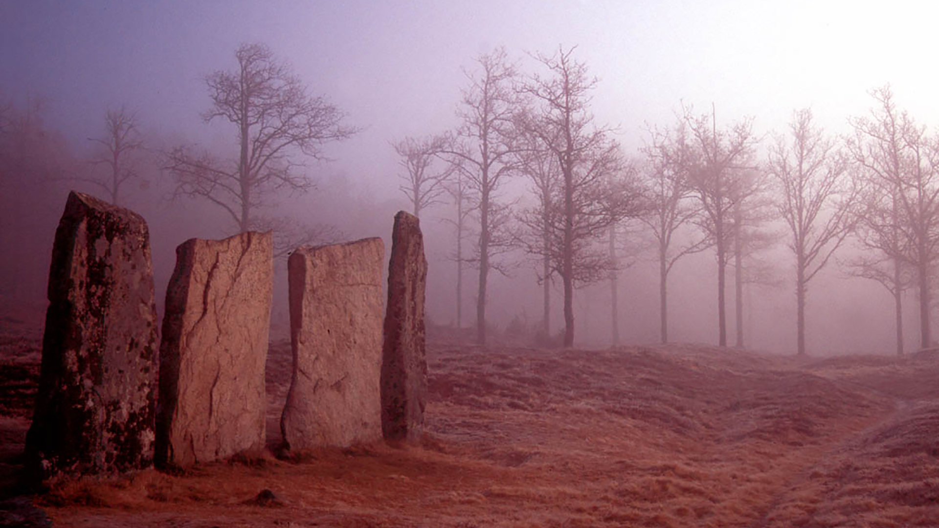 Ingen beskrivning tillgänglig