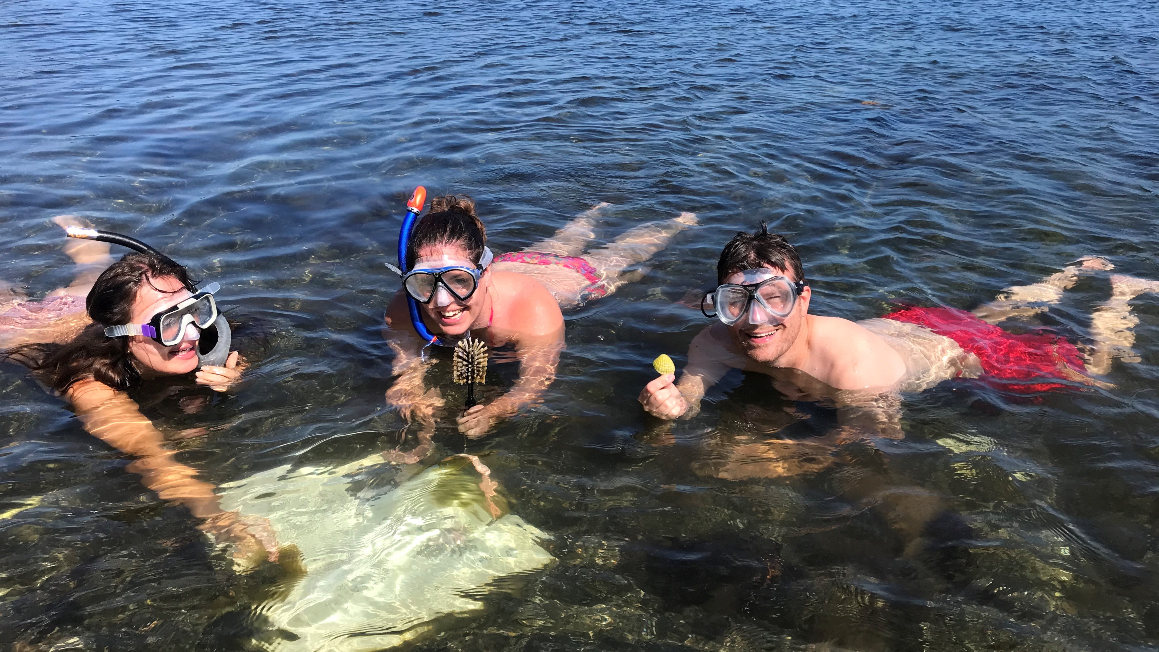 Tre snorklare i vattnet