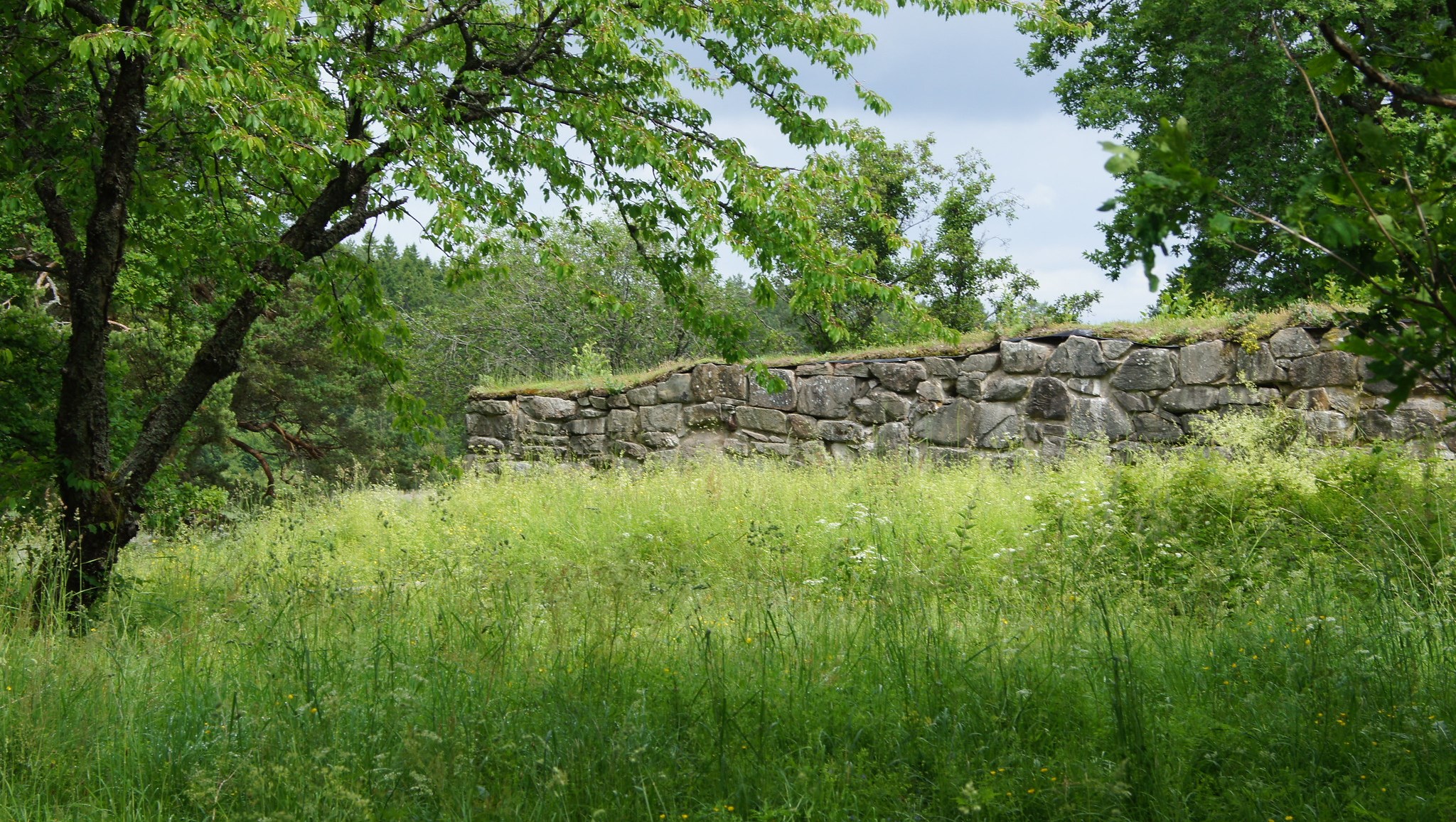 Ingen beskrivning tillgänglig