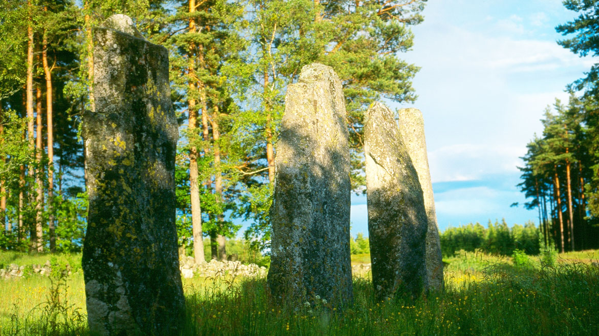 Stenehed gravfält i Munkedal.