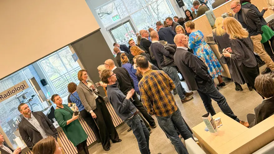 Mingelbild med många människor på håll.