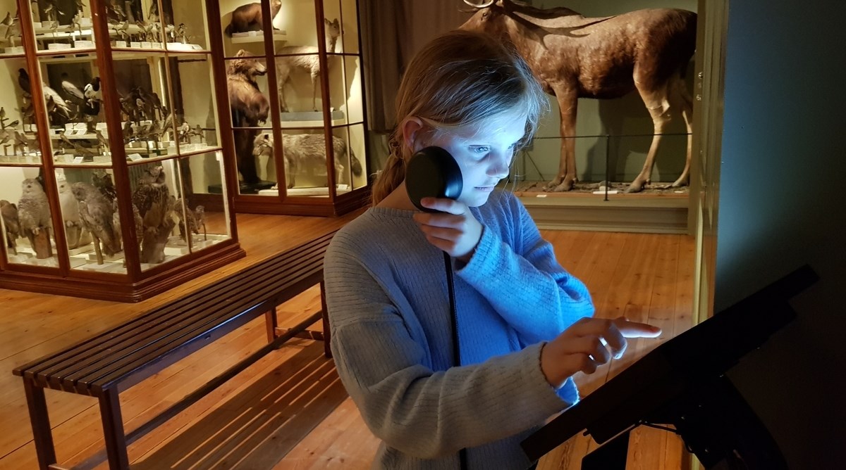 Barn lyssnar och tittar på utställning på museum