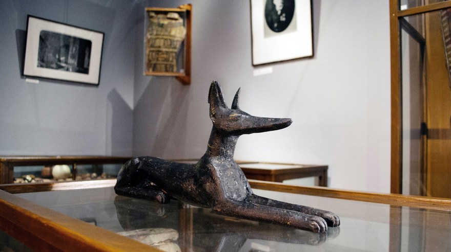 Anubis på Vänersborgs museum.