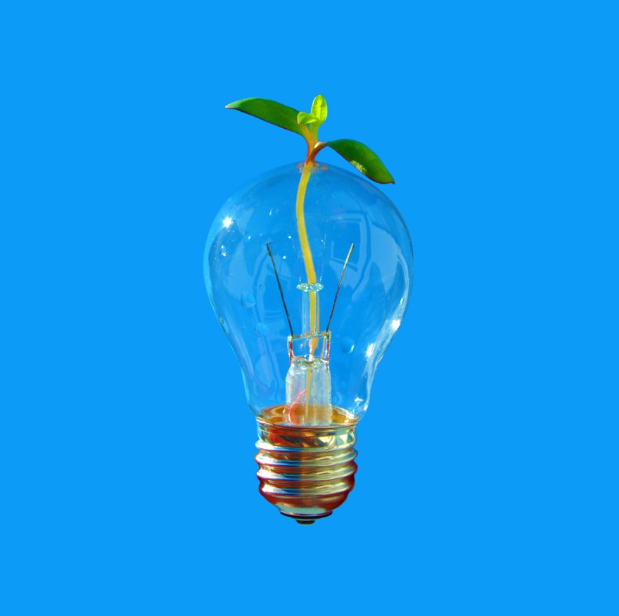 Glödlampa med grodd