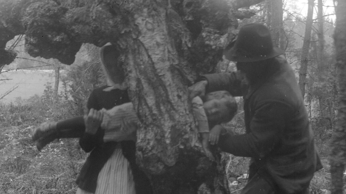 En kvinna och en man för ett barn genom ett hål i ett träd.