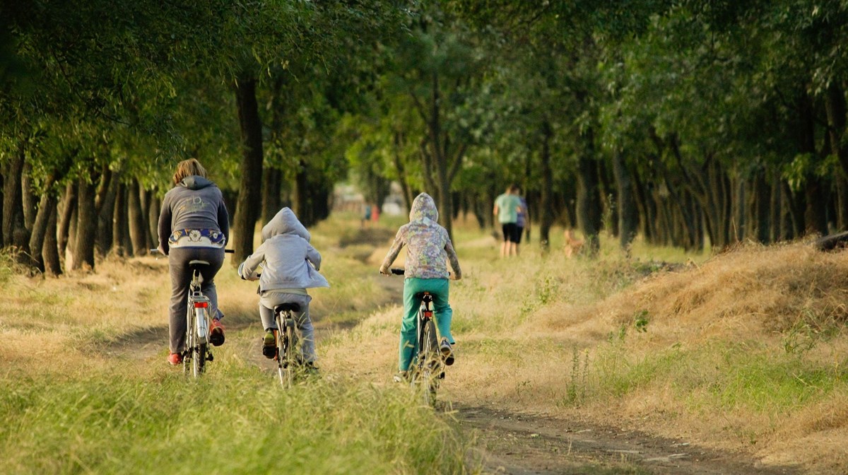 Barn ses bakifrån cykla på skogsväg