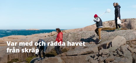 fyra personer plockar skräp på klippor