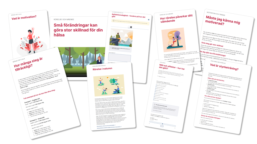 Exempel på avsnitt i programmet.