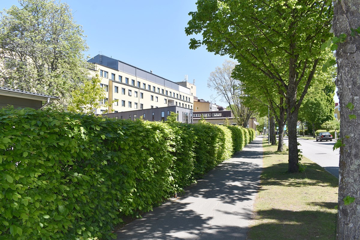 Gångväg på baksidan av Alingsås lasarett