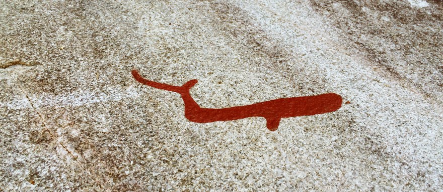 En röd illustration av en blåval strandad på Bohuskusten.