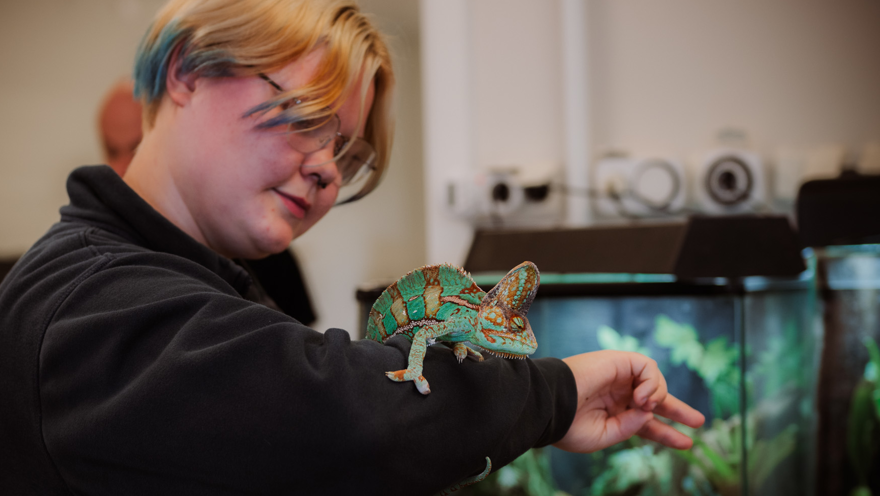 Elev håller grön reptil på armen