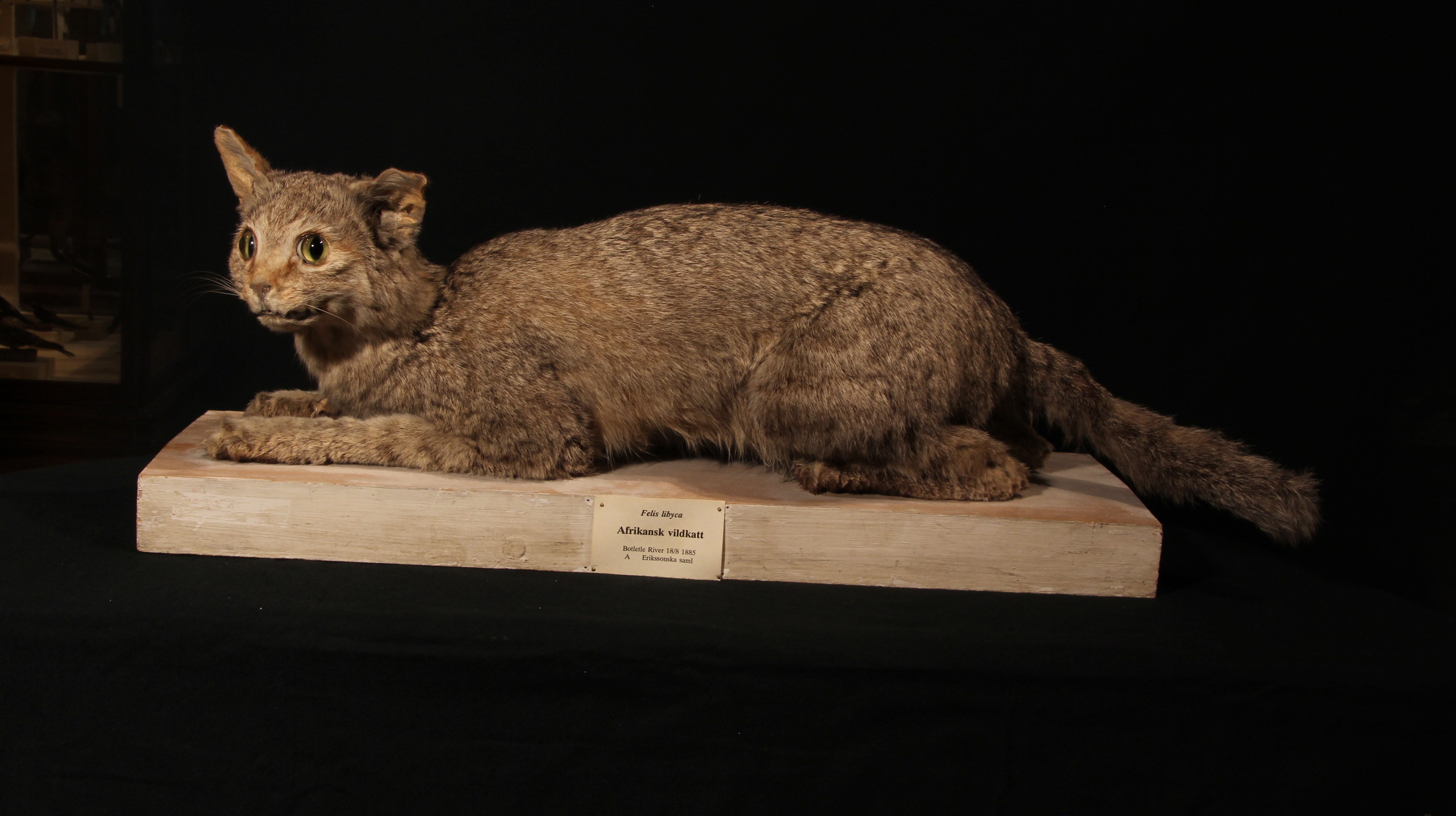 Ingen beskrivning tillgänglig