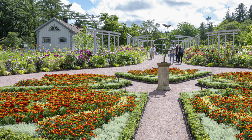 Bildlänk till Göteborgs Botaniska trädgård