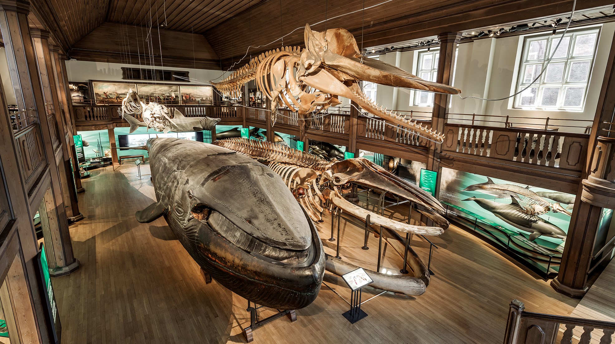 Ingen beskrivning tillgänglig