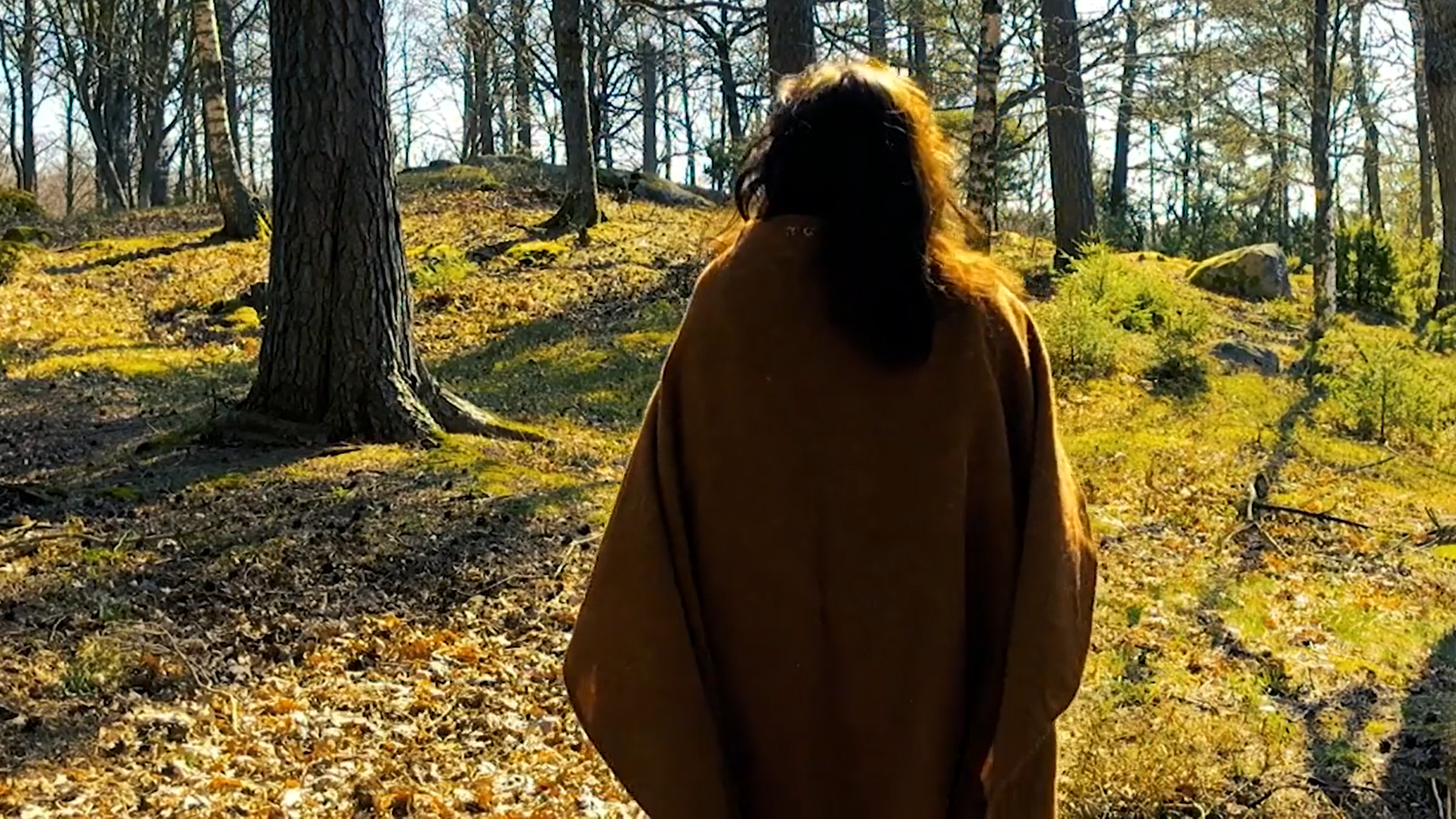 En person står med ryggen mot kameran i ett naturlandskap