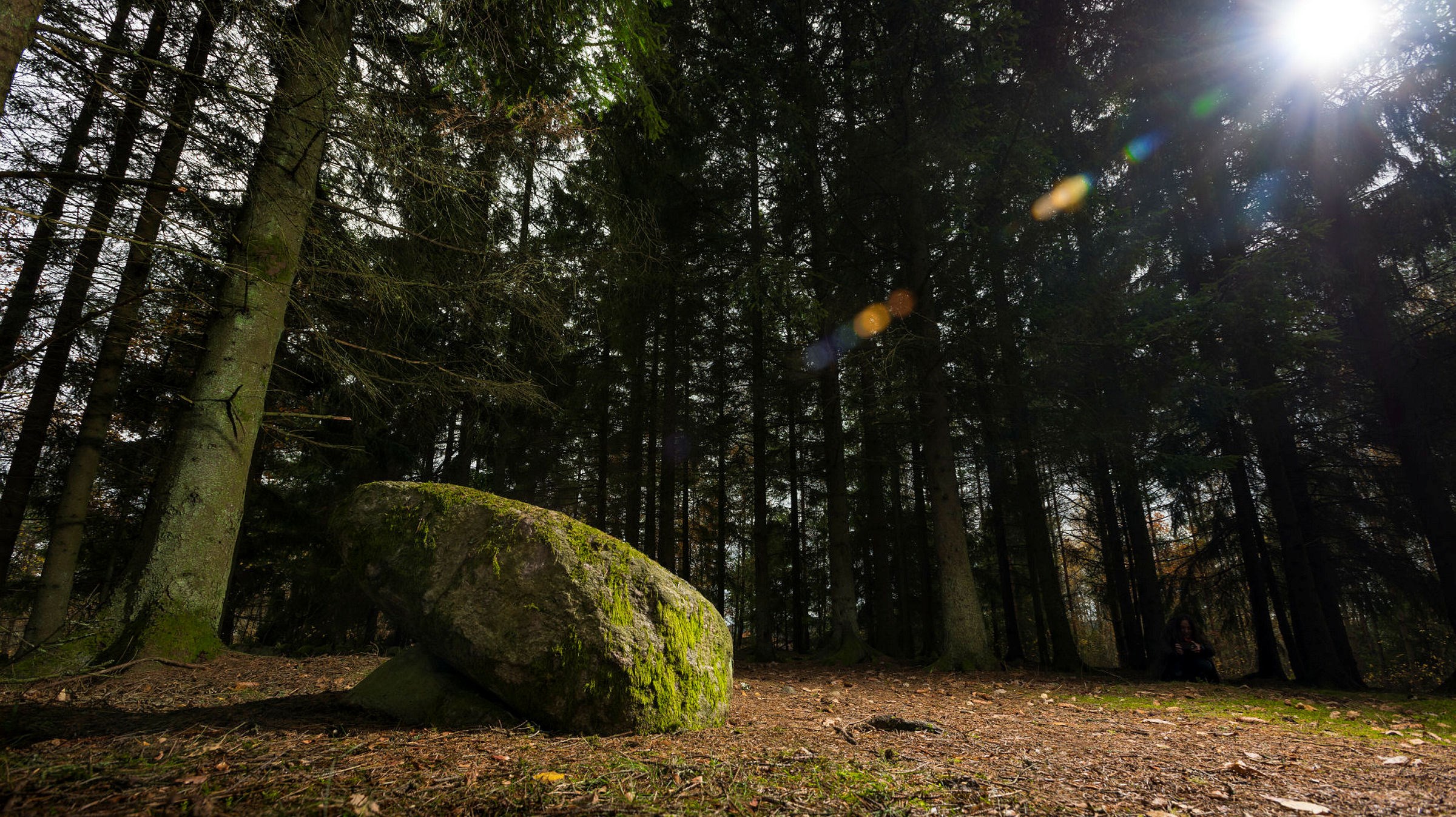 Ingen beskrivning tillgänglig