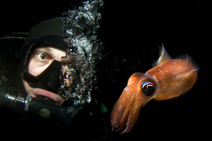 Dykare med bläckfisk