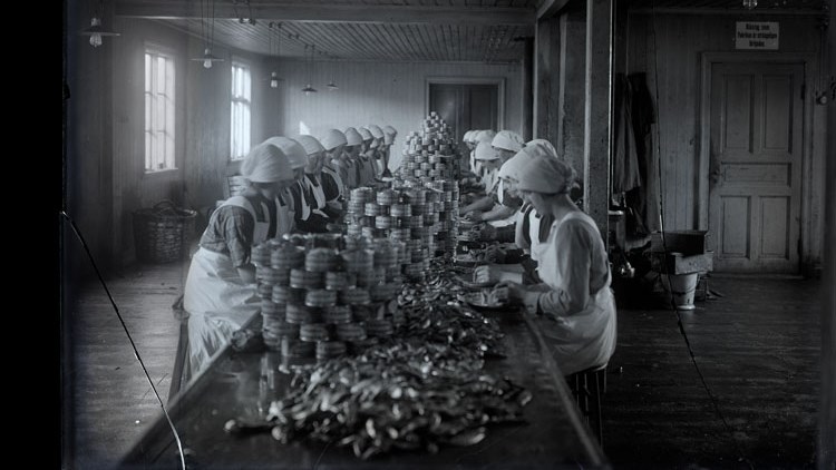 Bilden på sillskärerskorna  är troligen från 1910- eller 1920-talet i Lysekil. Det är inläggning av skarpsill vid en konservindustri i Lysekil.