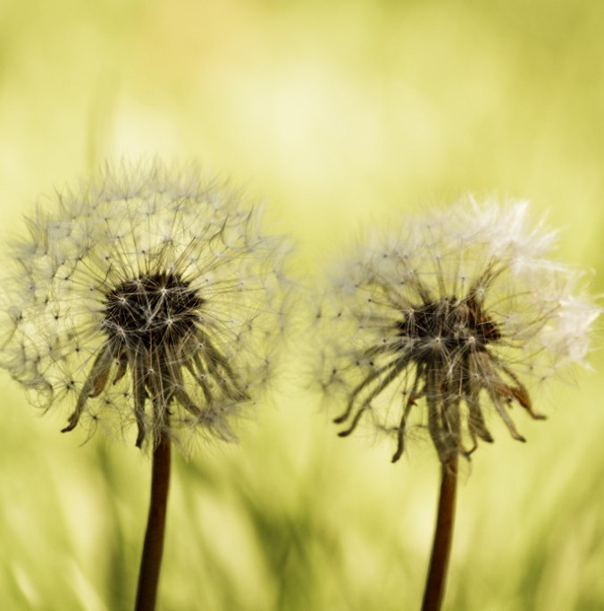 Ingen beskrivning tillgänglig