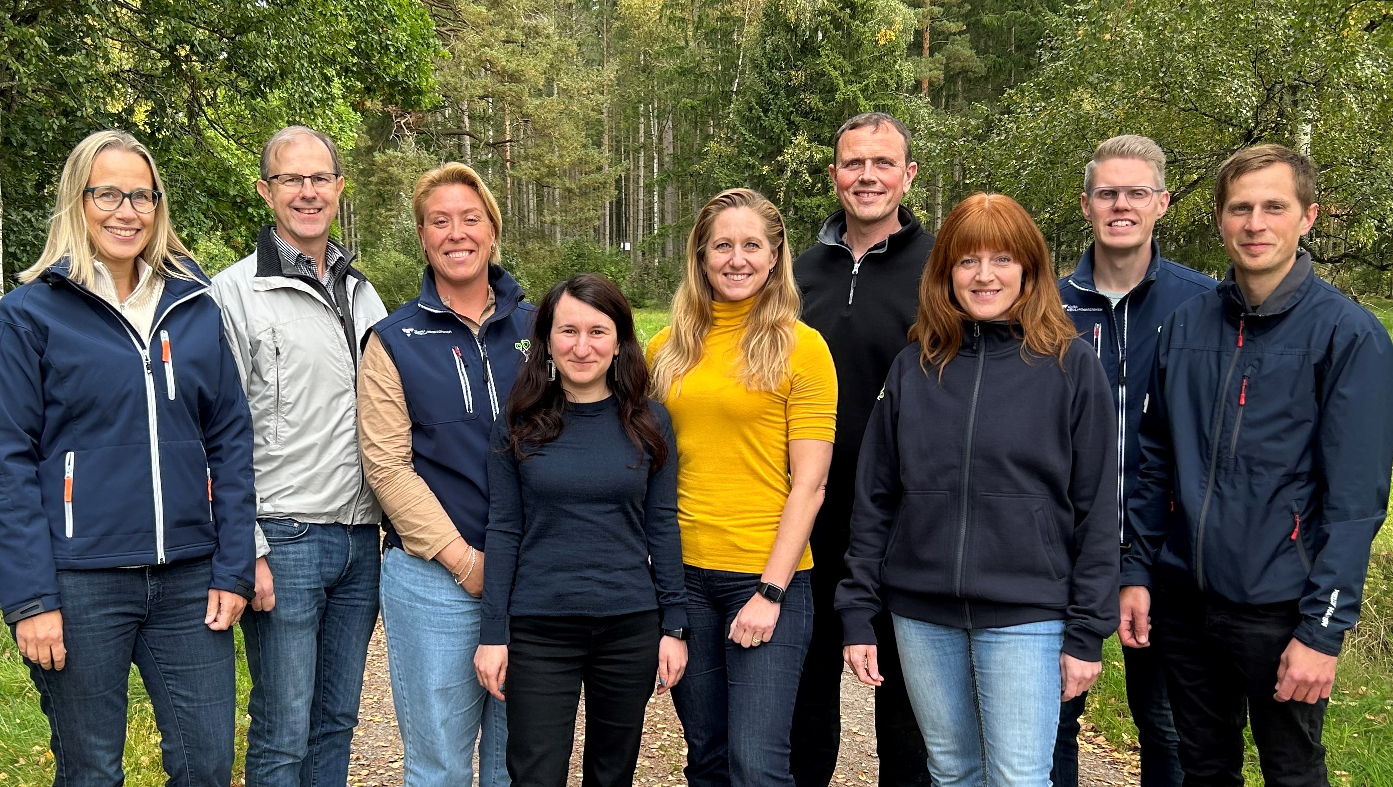 The team of development and innovation