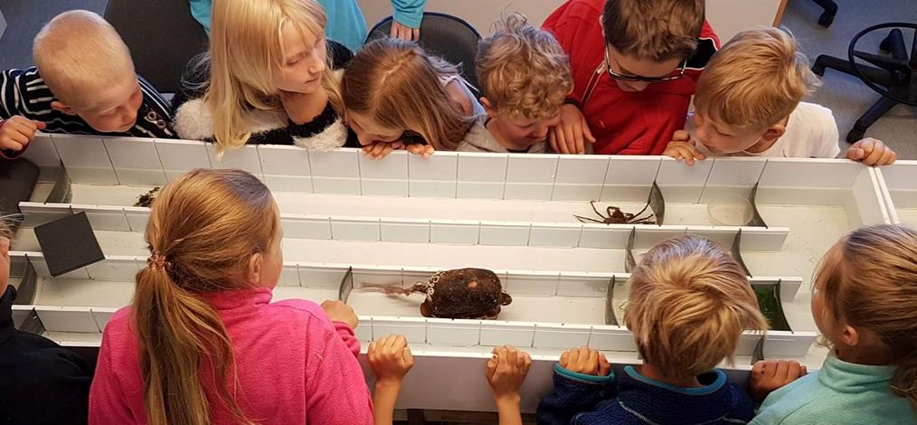 Barn tittar på marina djur