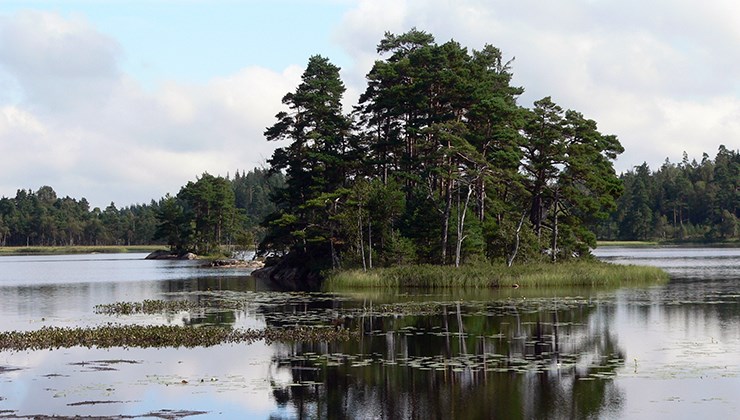 Ingen beskrivning tillgänglig